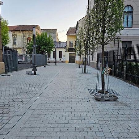 Muzeului Studio Cluj-Napoca Luaran gambar