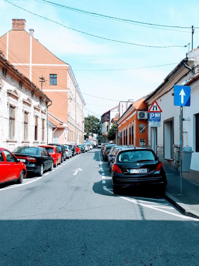 Muzeului Studio Cluj-Napoca Luaran gambar